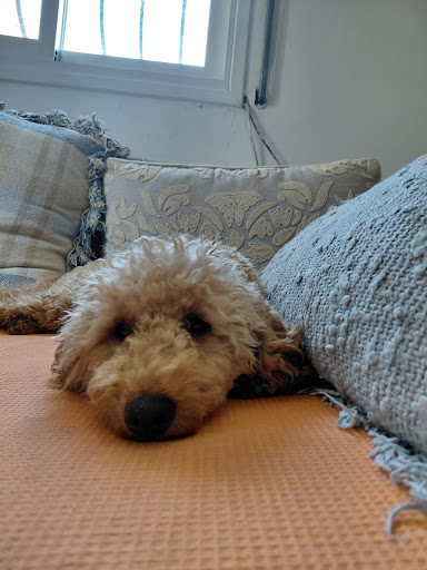 Photo from customer review